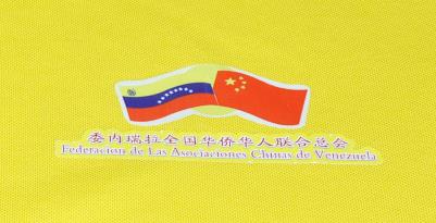 ίȫASAϿbϵС߶POLO